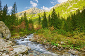 Dimex Valley Fotobehang 375x250cm 5 banen | Yourdecoration.be