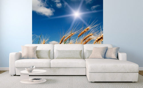 Dimex Wheat Field Fotobehang 225x250cm 3 banen Sfeer | Yourdecoration.be