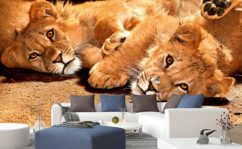 Dimex Young Lions Fotobehang 375x250cm 5 banen Sfeer | Yourdecoration.be