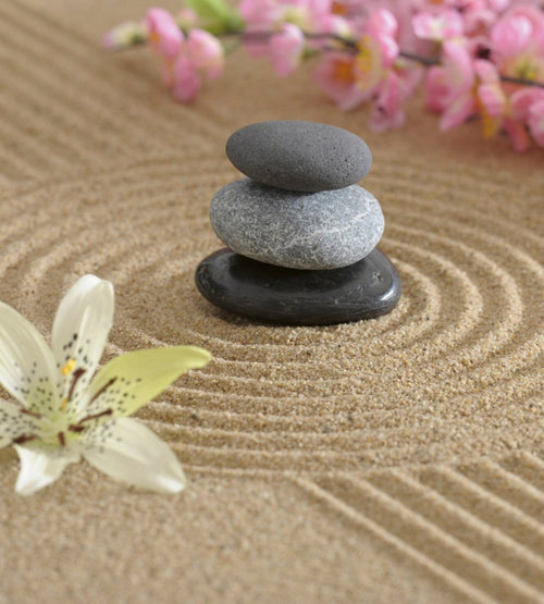 Dimex Zen Garden Fotobehang 225x250cm 3 banen | Yourdecoration.be