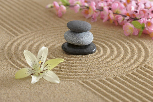 Dimex Zen Garden Fotobehang 375x250cm 5 banen | Yourdecoration.be