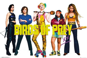 GBeye Birds of Prey Group Poster 91,5x61cm | Yourdecoration.be