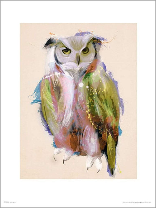 GBeye Owl Paint Kunstdruk | Yourdecoration.be