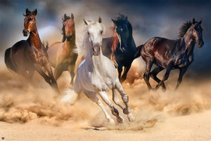 Grupo Erik GPE5031 Five Horses Poster 91,5X61cm | Yourdecoration.be