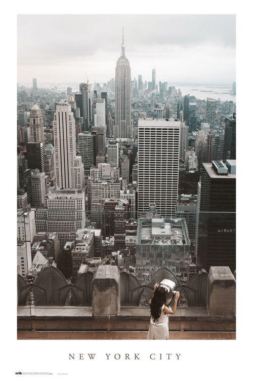 Grupo Erik GPE5547 New York City Views Poster 61X91,5cm | Yourdecoration.be