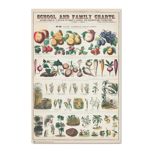 Grupo Erik Gpe5603 Poster Fruits And Vegetables | Yourdecoration.be