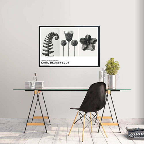 Grupo Erik Gpe5626 Poster Urformen Der Kunst By K Blossfeldt Sfeer | Yourdecoration.be