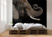 Komar Afrikaanse Olifant Vlies Fotobehang 300X280Cm 6 Delen Sfeer | Yourdecoration.be