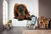 Komar Orang Oetan Vlies Fotobehang 300X280Cm 6 Delen Sfeer | Yourdecoration.be