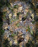 Komar Vlies Fotobehang X4 1046 Wild Cats | Yourdecoration.be