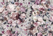 Komar Vlies Fotobehang X7 1017 Lovely Blossoms | Yourdecoration.be