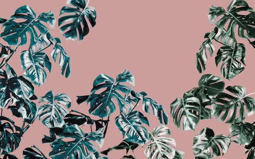 Komar Monstera Rose Vlies Fotobehang 400x250cm 4 banen | Yourdecoration.be