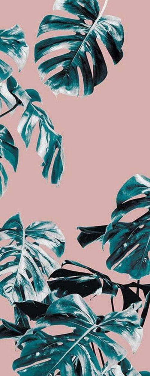 Komar Monstera Rose Blauw Vlies Fotobehang 100x250cm 1 baan | Yourdecoration.be