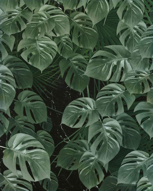 Komar Monstera on Marble Vlies Fotobehang 200x250cm 2 banen | Yourdecoration.be