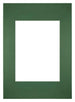 Passe Partout 20x28cm Karton Groen Bos Rand Recht   Voorzijde | Yourdecoration.be