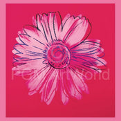 Andy Warhol   Daisy 1982 Kunstdruk 90x90cm | Yourdecoration.be