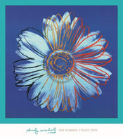 Andy Warhol   Daisy 1982 Kunstdruk 90x90cm | Yourdecoration.be