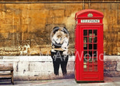 Edition Street   Red Telephone Box Kunstdruk 50x70cm | Yourdecoration.be