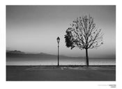 Christian Coigny   Lutry Lac Lemon Kunstdruk 80x60cm | Yourdecoration.be