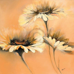 Elena Filatov   Apricot Summer I Kunstdruk 70x70cm | Yourdecoration.be