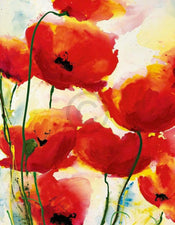 Heidi Reil   Roter Mohn Kunstdruk 70x90cm | Yourdecoration.be