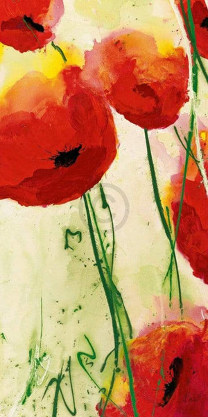 Heidi Reil   Klatschmohn Kunstdruk 50x100cm | Yourdecoration.be