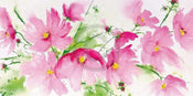 Heidi Reil   Rosa Kosmeen Kunstdruk 100x50cm | Yourdecoration.be