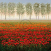 Park   Morning Mist Kunstdruk 68x68cm | Yourdecoration.be