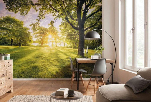 Komar Golden Moment Vlies Fotobehang 400x250cm 4 banen Sfeer | Yourdecoration.be