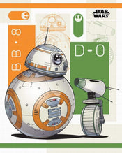 Pyramid Star Wars The Rise of Skywalker BB 8 and D 0 Poster 40x50cm | Yourdecoration.be