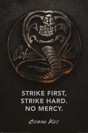 Pyramid PP34736 Cobra Kai Metal Poster | Yourdecoration.be