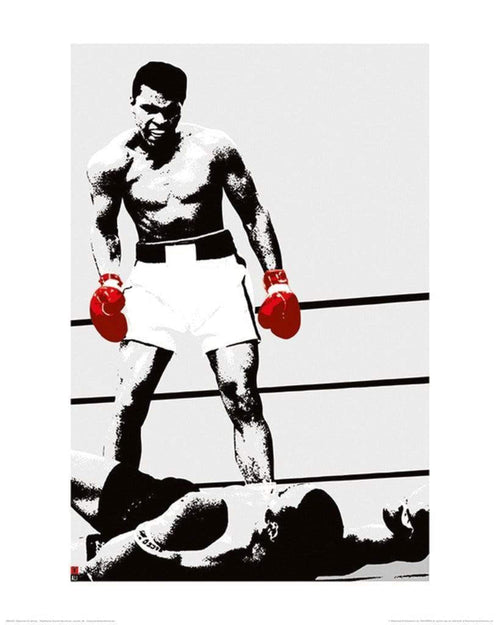 Pyramid Muhammad Ali Gloves Kunstdruk 60x80cm | Yourdecoration.be