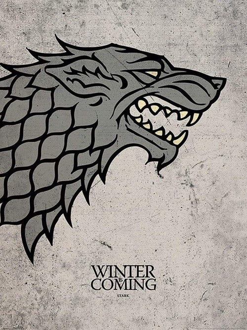 Pyramid Game of Thrones Stark Kunstdruk 60x80cm | Yourdecoration.be