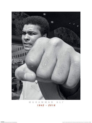 Pyramid Muhammad Ali Commemorative Punch Kunstdruk 60x80cm | Yourdecoration.be