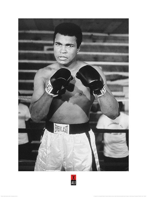 Pyramid Muhammad Ali Pose Kunstdruk 60x80cm | Yourdecoration.be