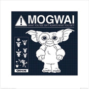 Pyramid Gremlins Mogwai Rules Kunstdruk 40x40cm | Yourdecoration.be