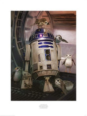 Pyramid Star Wars The Last Jedi R2D2 and Porgs Kunstdruk 60x80cm | Yourdecoration.be