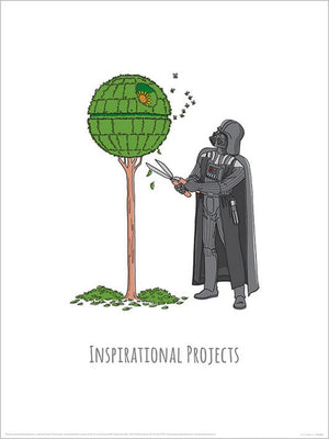 pyramid ppr54083 star wars vaders boredom busting ideas inspirational projects kunstdruk 30x40cm | Yourdecoration.be