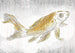 Komar Golden Koi Vlies Fotobehang 400x280cm 8 banen | Yourdecoration.be