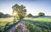 Komar A New Day in Paradise Vlies Fotobehang 400x250cm 4 banen | Yourdecoration.be