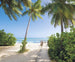 Komar Palmy Beach Vlies Fotobehang 300x250cm 3 banen | Yourdecoration.be