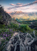 Komar Flowering Tales Vlies Fotobehang 200x280cm 4 banen | Yourdecoration.be