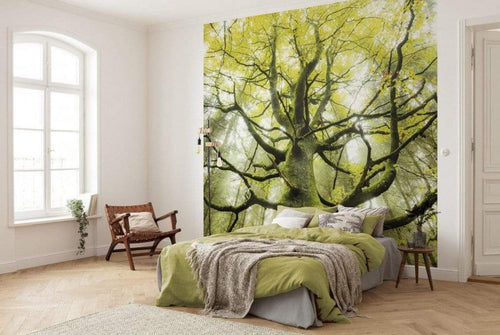 Komar Der Traumbaum Vlies Fotobehang 300x280cm 6 banen Sfeer | Yourdecoration.be