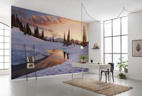 Komar America the Beautiful Vlies Fotobehang 450x280cm 9 banen Sfeer | Yourdecoration.be