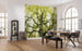 Komar Der Traumbaum Vlies Fotobehang 450x280cm 9 banen Sfeer | Yourdecoration.be