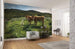 Komar Kuhparadies Vlies Fotobehang 450x280cm 9 banen Sfeer | Yourdecoration.be