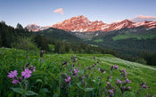 Komar Picturesque Switzerland Vlies Fotobehang 450x280cm 9 banen | Yourdecoration.be