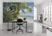 Komar Fiji Dreams Boat Vlies Fotobehang 450x280cm 9 banen Sfeer | Yourdecoration.be