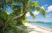 Komar Fiji Dreams Boat Vlies Fotobehang 450x280cm 9 banen | Yourdecoration.be