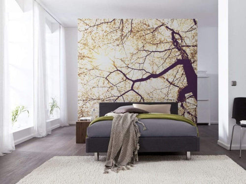 Komar Sunshine Fotobehang 250x250cm 5 banen Sfeer | Yourdecoration.be